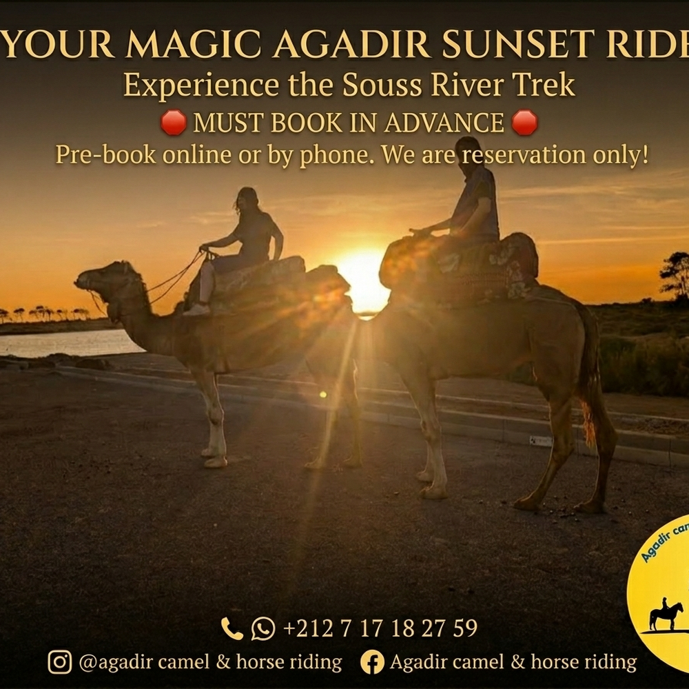 Agadir camel & horse riding — attractions in Agadir