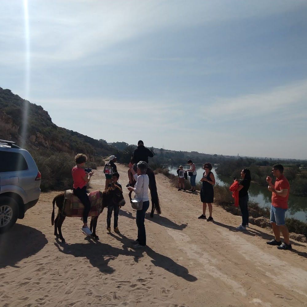 Agadir Explorer Tours | Top-Rated Agadir Excursions & Day Trips