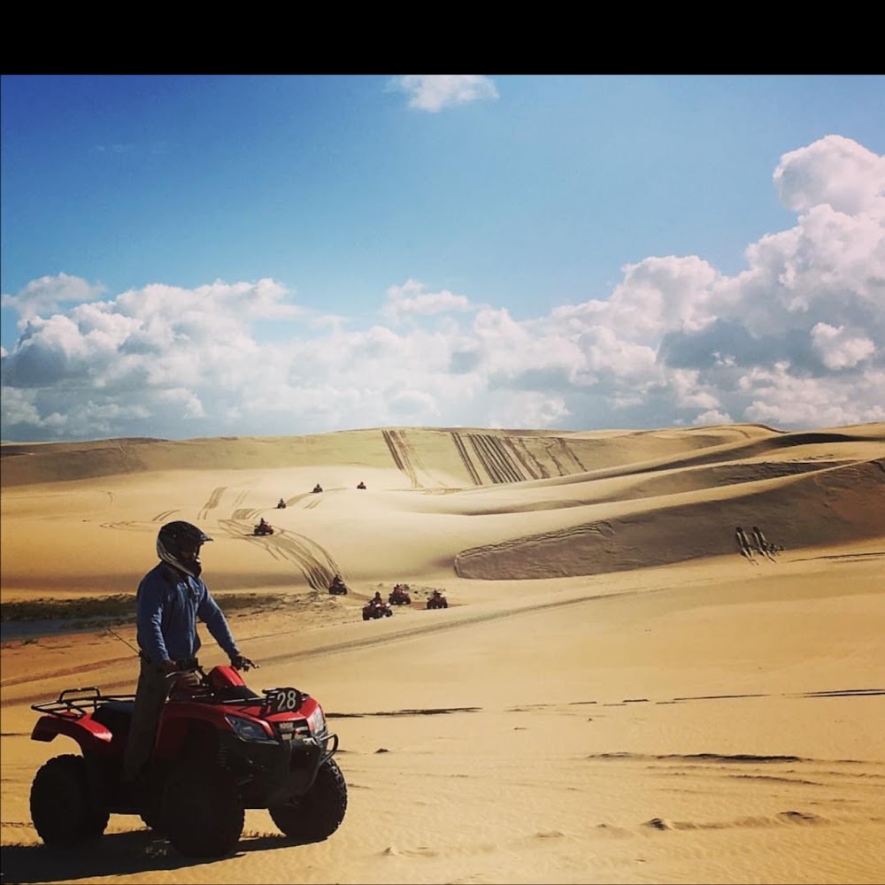 Goats & city tour — attraction in Agadir