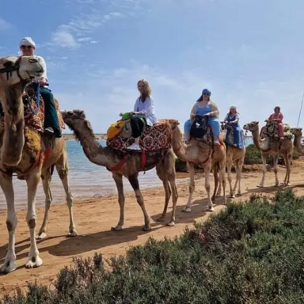 Agadir Attractions - Check Website & Whatsapp us