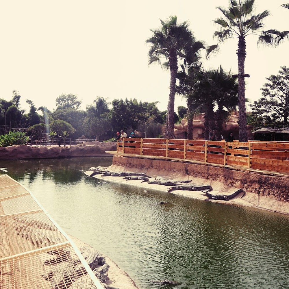 Crocoparc — attractions in Agadir
