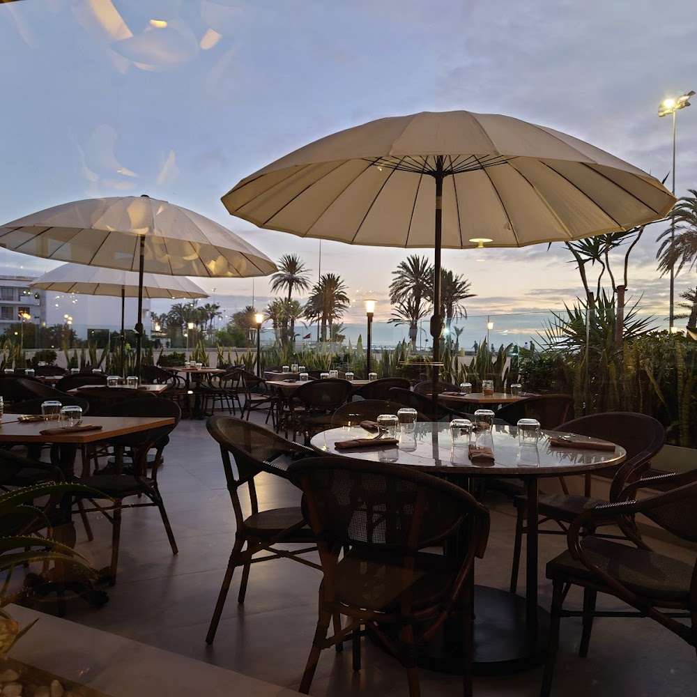 Restaurant Jade | Asian Fusion — restaurants in Agadir