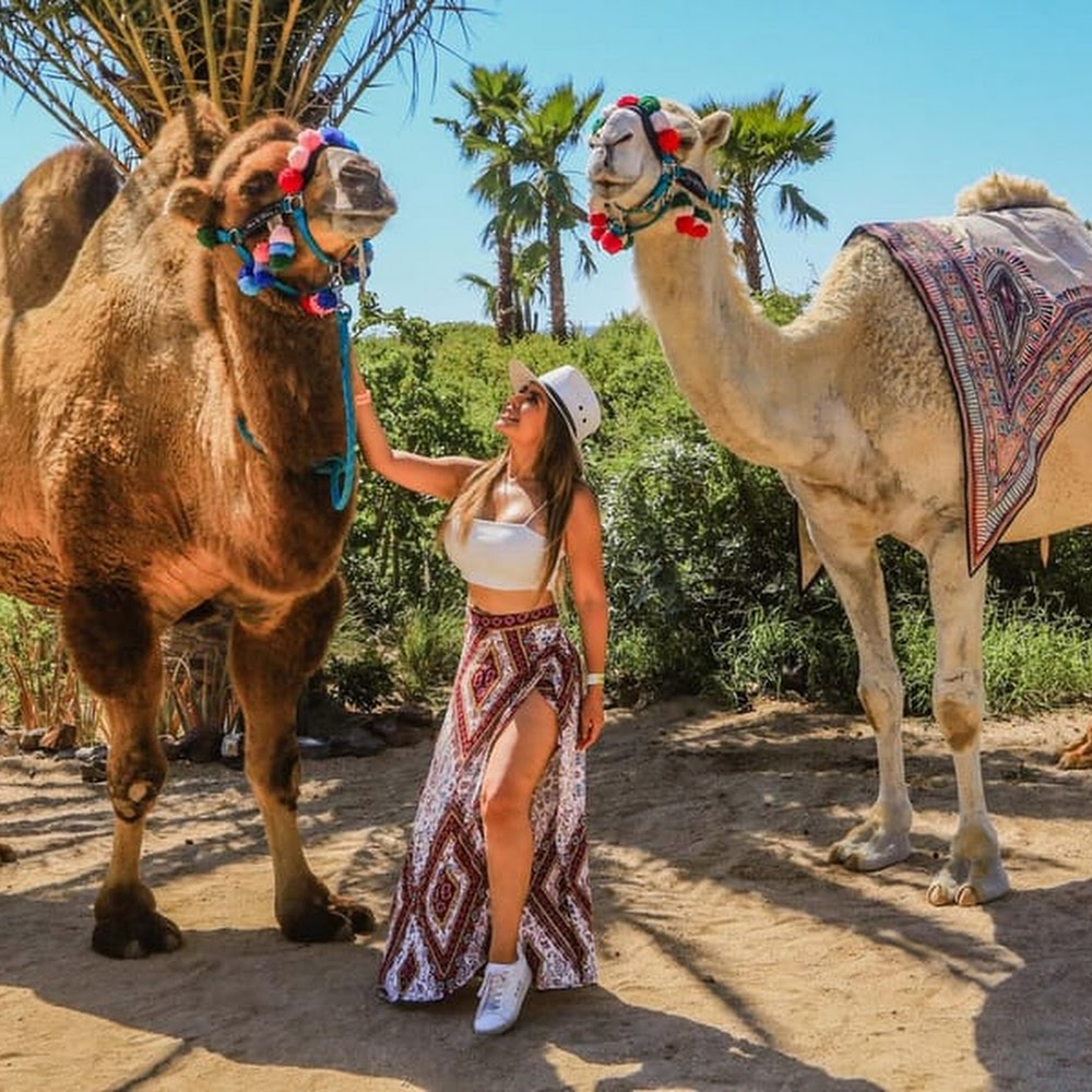 Agadir Camel Riding with BBQ — attractions in Agadir