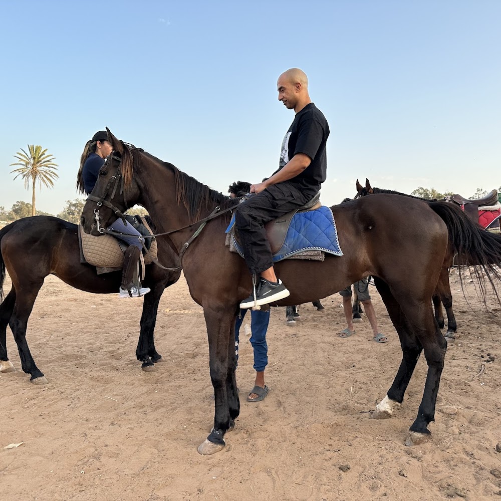 Nomads Agadir Camel & Horse — attractions in Agadir